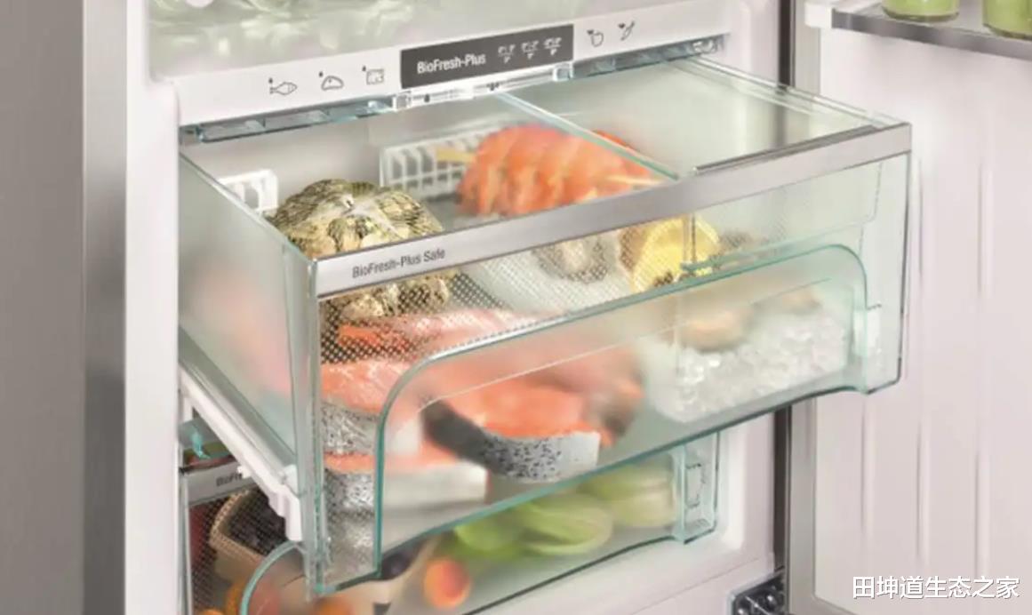 田坤道|冰箱也不是万能的，快来看看正确使用冰箱的存储小技巧