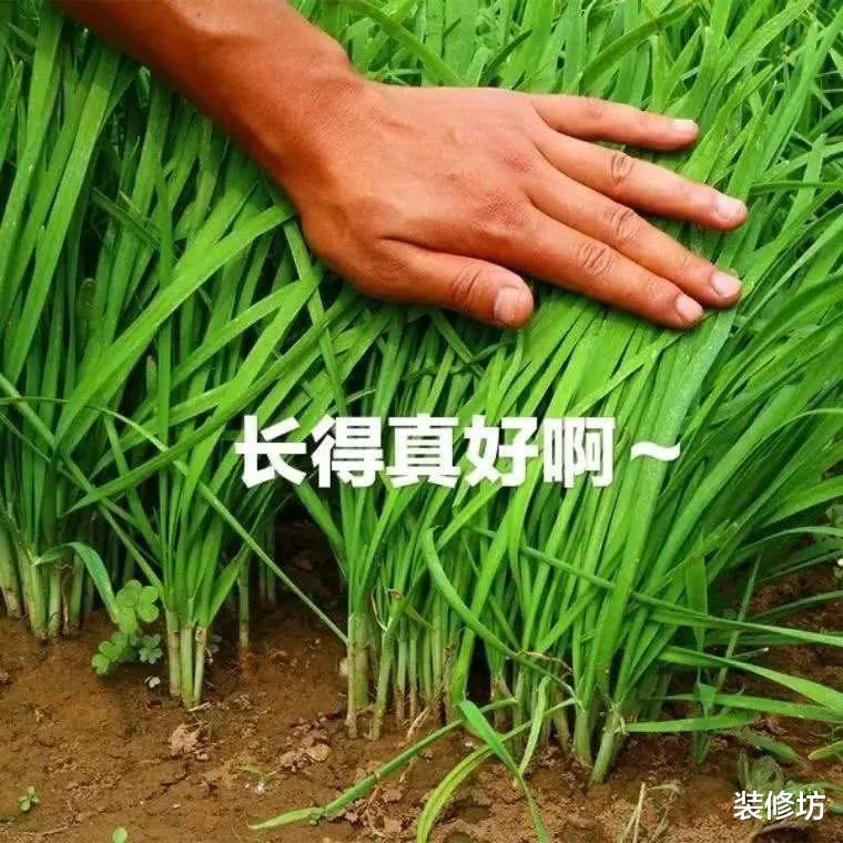让人买得起却“用不起”的4个家居产品,小心被它们“掏空”钱包