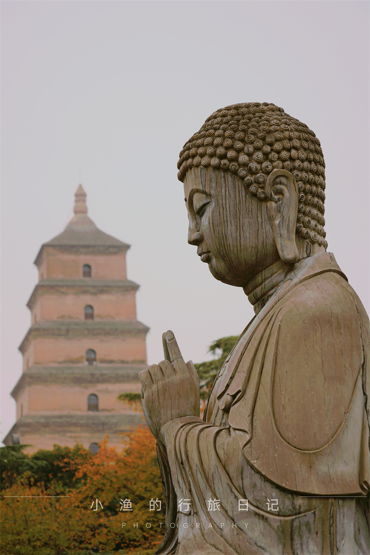 秋水山庄|银杏黄了！西安这处秋游宝地，环境清幽古色古香，地铁直达人不多