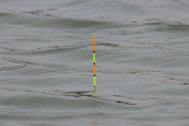 |钓鱼时你是否还在傻傻等黑漂才提竿？