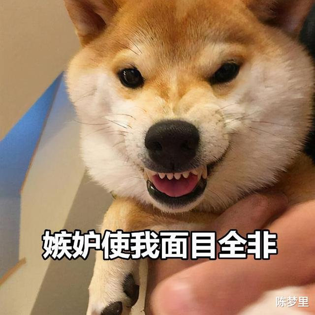 创业|为啥只有中国人爱扫码支付，而发达国家却无人问津？
