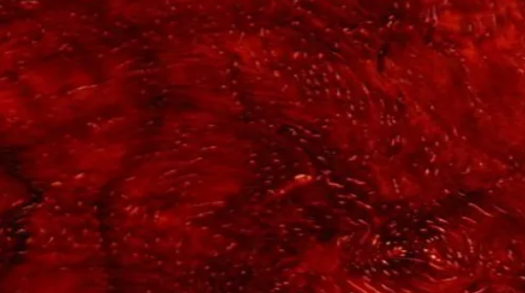 小叶紫檀|木质界的帝王之木,你了解多少?