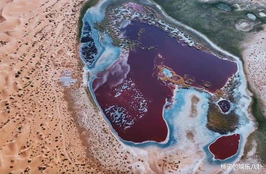 郑钧|郑钧又被节目组当成摔车反面教材展示,“菜”却努力不拖后腿