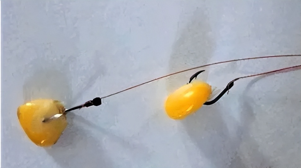 饵料|小杂鱼闹窝不胜其烦,矫枉过正得不偿失,教你一个正确的应对方法