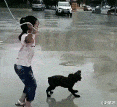 你是怎么看待骨灰撒海的？要被这届网友笑死了