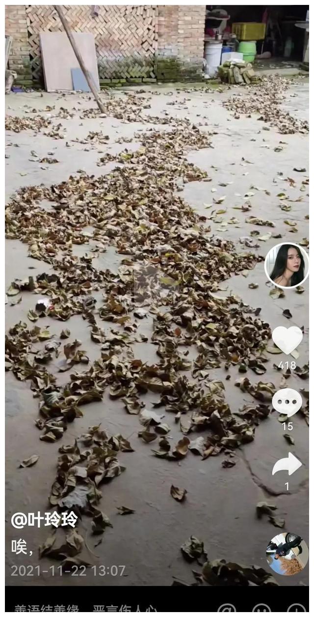 叶婷案件发生反转，叶某婷要直播挣钱，还曾勒索400万