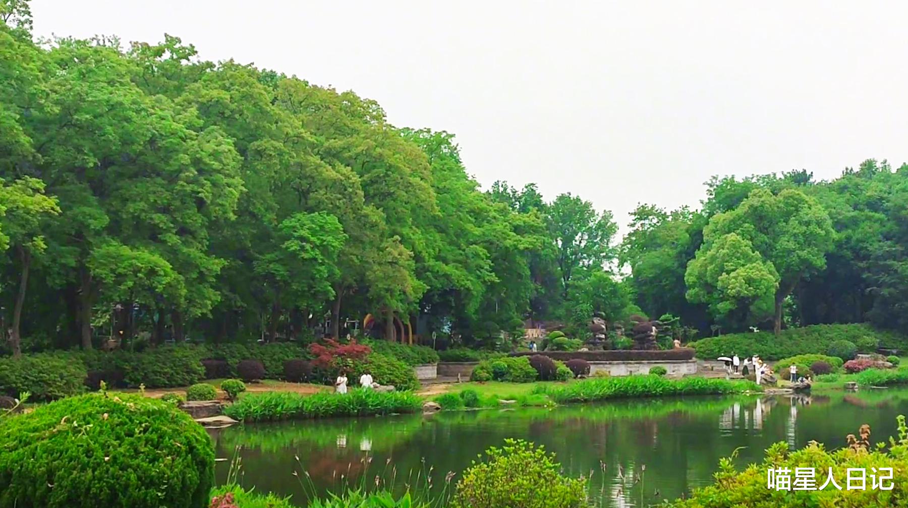 大观园|游逛武汉城区东湖磨山一角，随处可见小桥流水，还有宽阔的大草坪