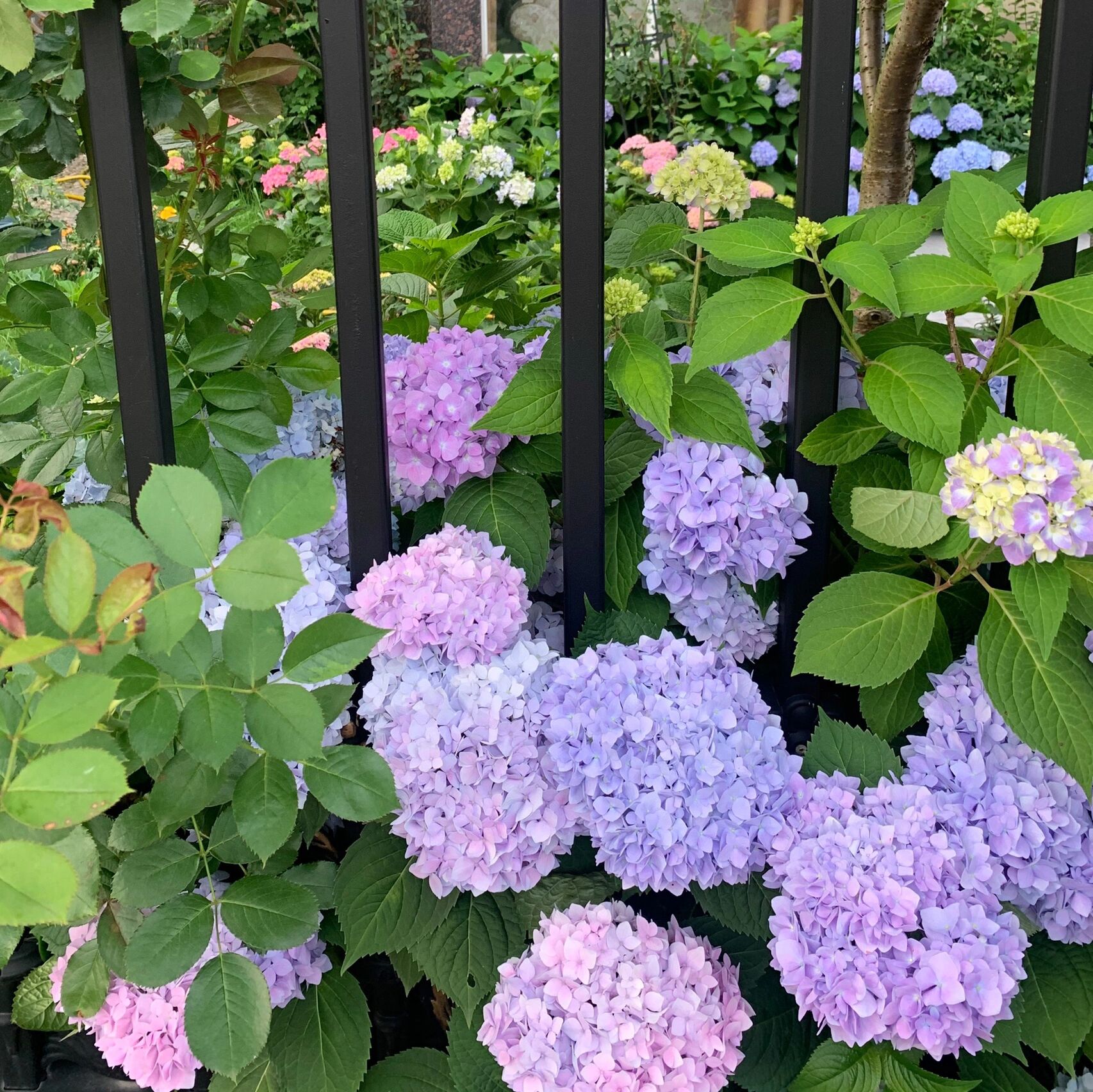 54㎡一楼小院，花6.5万改造成休闲小花园，楼上邻居都羡慕了