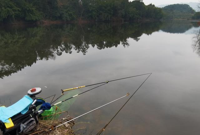 重庆|可惜还是可恨?重庆多地销毁大量鱼竿!垂钓运动该何去何从?