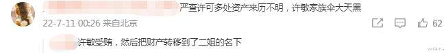 ?许敏二姐有多处房产？独栋别墅曝光装修豪华，被疑财产来路不明