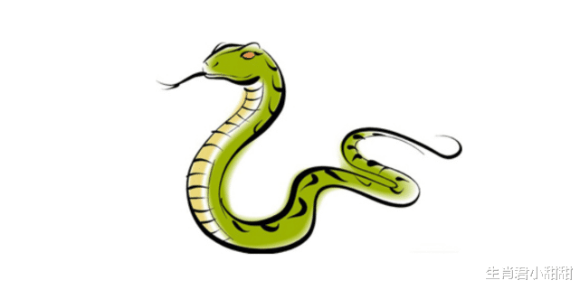 属蛇|上进心强不服输，虎年运势旺翻天挡也挡不住，属蛇人取得大好成绩