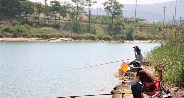 饵料|初夏钓鱼小杂鱼闹钩怎么办？改变这几方面，小鱼窝中钓大鱼