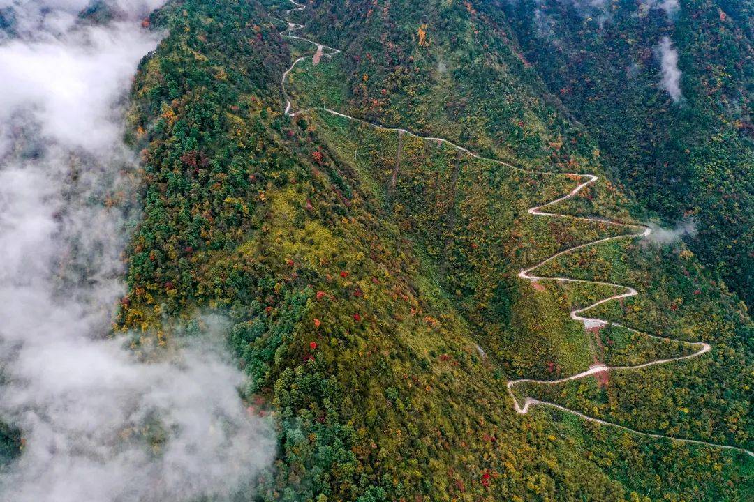 四川省|心动进行时 | 巴山大峡谷秋日云海已上线