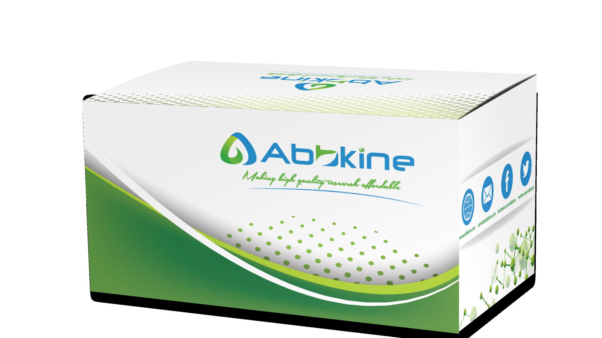 中英文说明书丨Abbkine AbFluor 488-鬼笔环肽