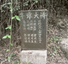 章子怡|章子怡罕下厨陪家人!素颜出镜捏饺子动作熟,汪峰寸头造型反差大