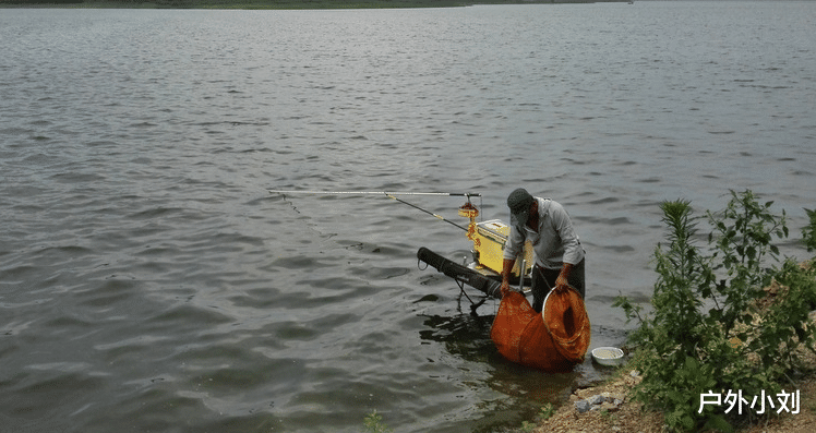 清明节|春季钓鲤鱼,注重饵料的搭配使用,上鱼快鱼获多