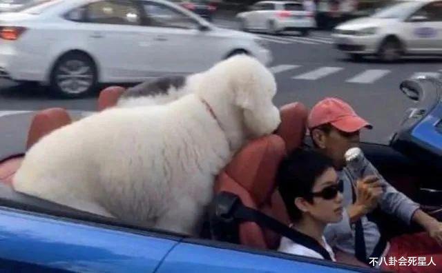 男神|爸爸是男神，长相却不如普通人的星二代们，个个背景不简单