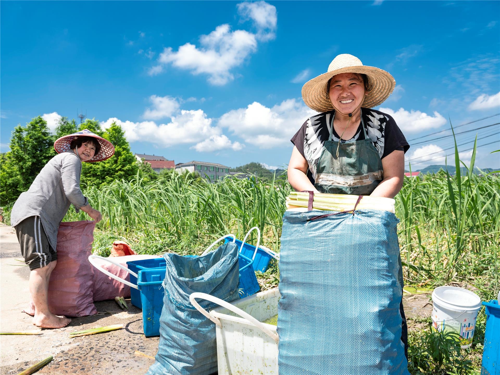 金华|探寻“水之旅”精品线路 解锁婺城山水秘境