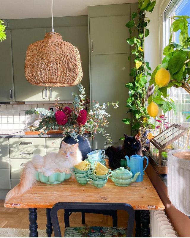 瑞典女主的老房改造,只有旧家具和绿植装饰,网友:真的服了