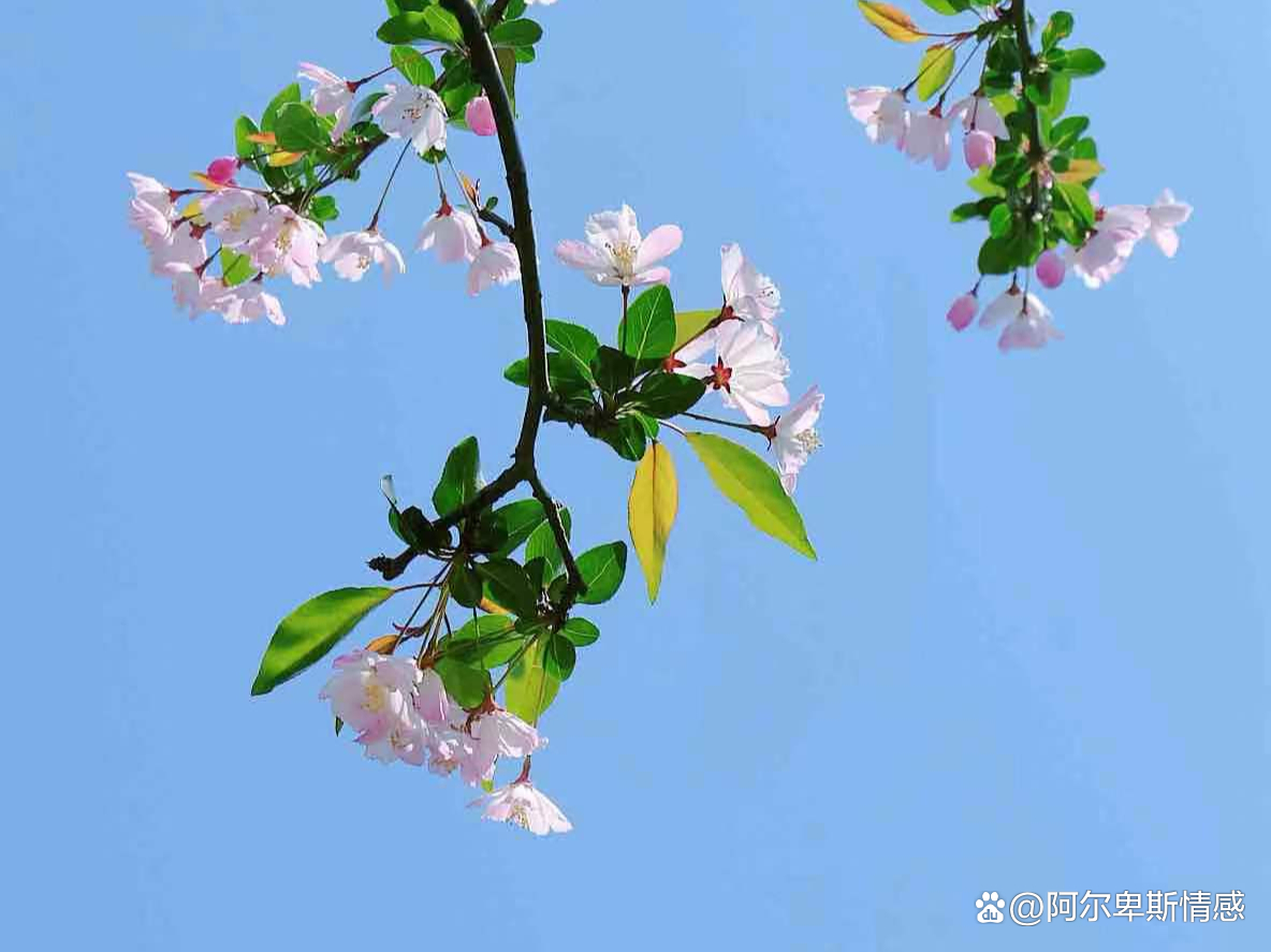 短裙 忘掉一个深爱的人，最好的方式就一个字