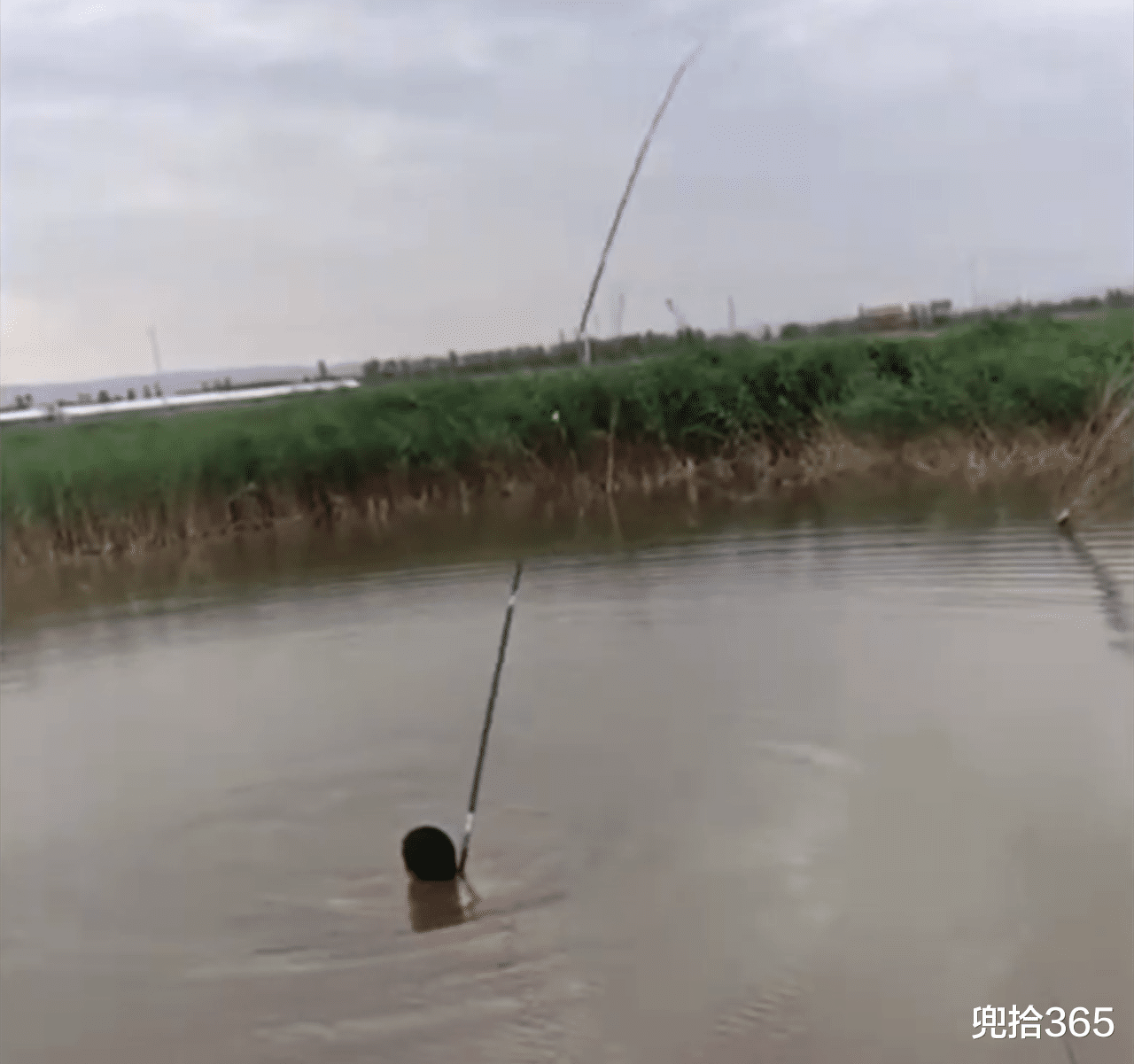 巴彦淖尔|不要命的垂钓人！直接下到水中遛大鱼，结局出乎大家的意料