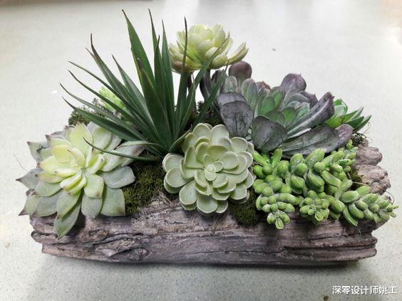 小户型造景必备的11个好东西,点缀日常好心情,让生活变得更美丽