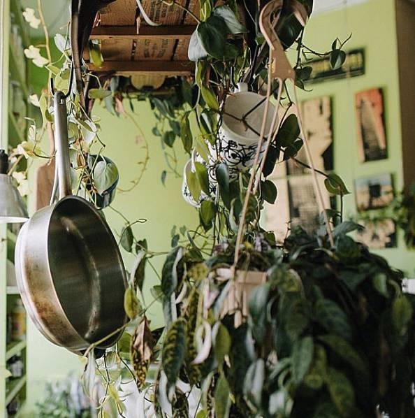 发现一户人家,家里摆了1000多盆花,那叫一个高级,拍给大家看