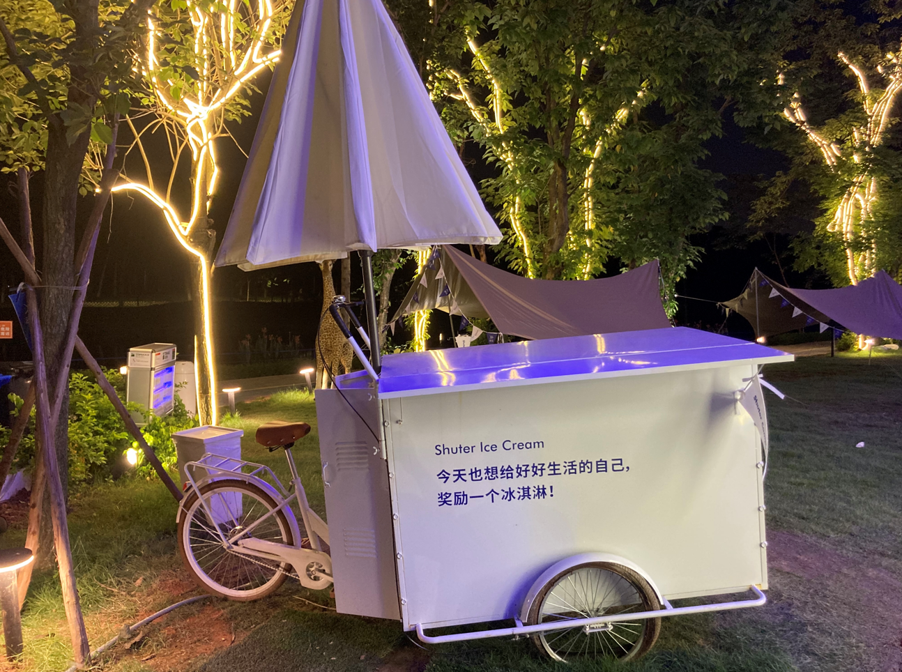芯片|多一颗芯片的作用！Reno8 Pro+影像体验：按下快门就有大片级样张