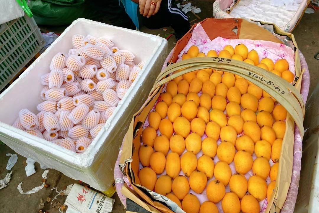 山西省|转阴后适合到温暖的城市？四川20°的幸福“暖城”，坐高铁5小时到