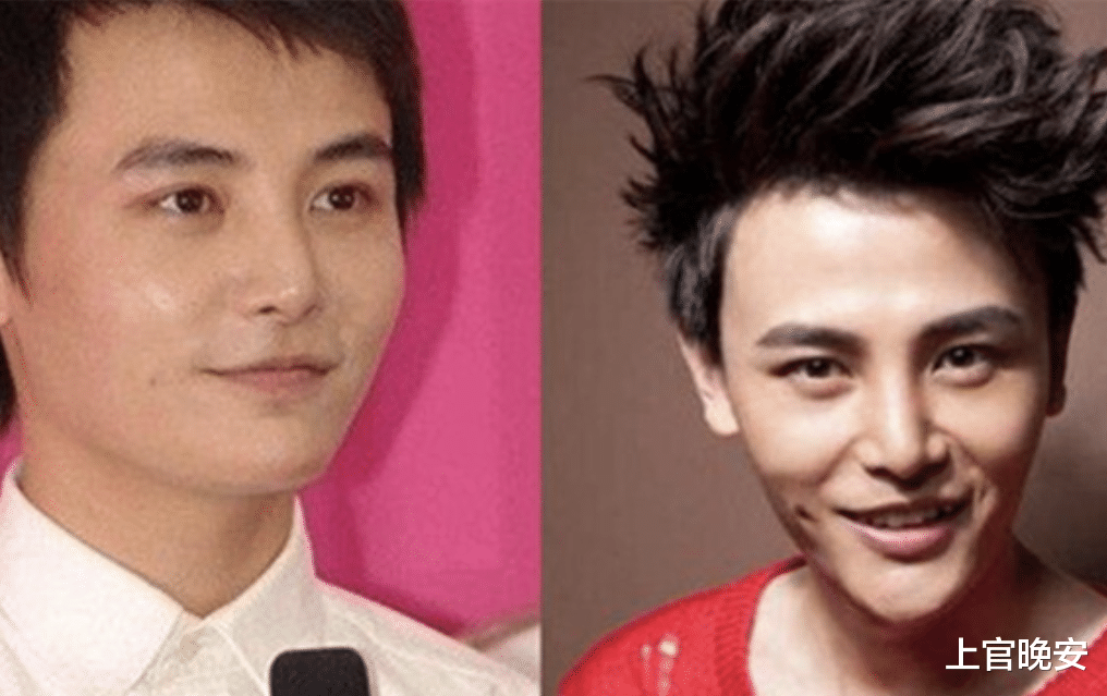 娱乐圈|娱乐圈明星们的假鼻子,真的绝了!都是狠人