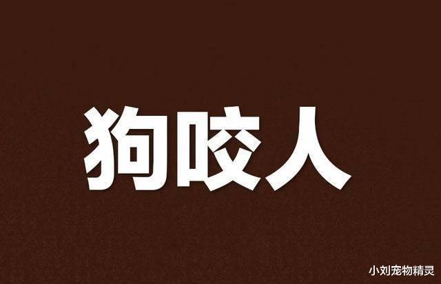 男子翻墙盗窃被狗咬死,家属索赔66万,你认为合理吗?