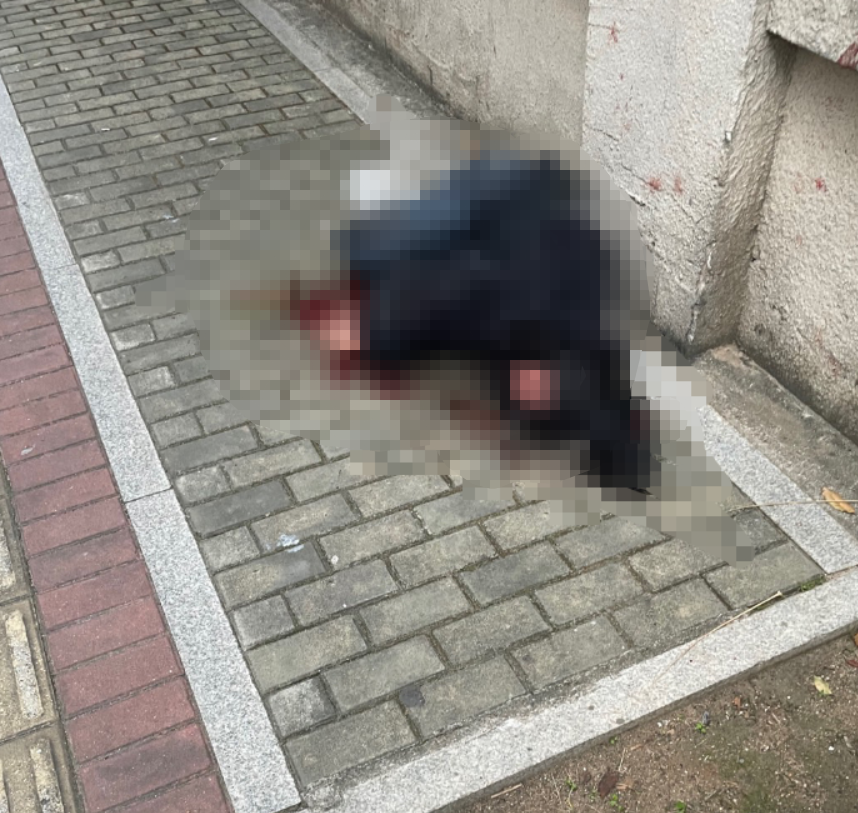 因爱生恨!20岁女子被男同事当街连捅数刀去世,姐姐:曾两次持刀跟踪!