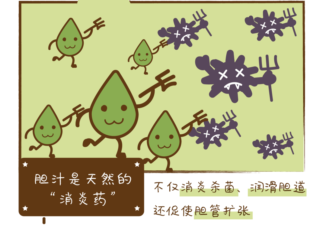 心脏病|胆结石是如何排出体外的?会划破胆管吗?