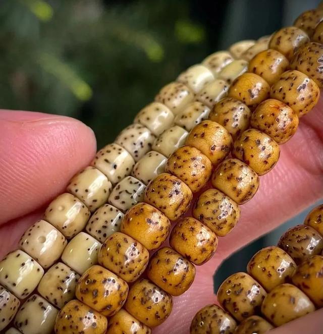 文玩|越盘越花的7种文玩,如何预防和补救?