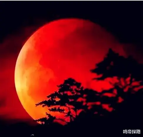 2022年,是将星陨落最频繁的一年!