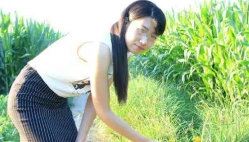 案例:河南女子与情人在玉米田偷情,路人要求加入,最终酿成血案