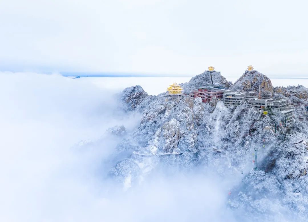 洛阳|中国唯一上榜!2023全球最佳旅行地出炉,低调的它终于被世界看到