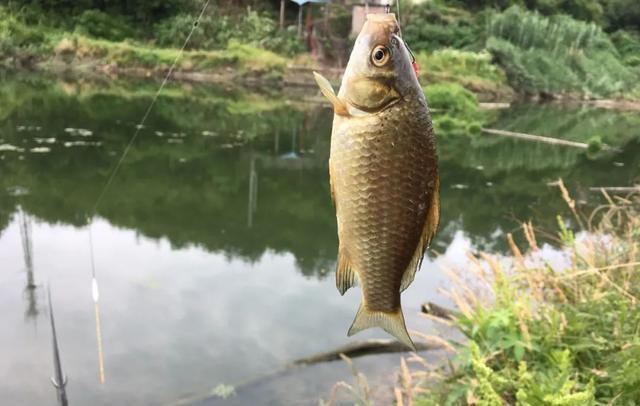 |秋季遇上这种天气最好别钓鱼，鱼不开口姜太公来了也没用！