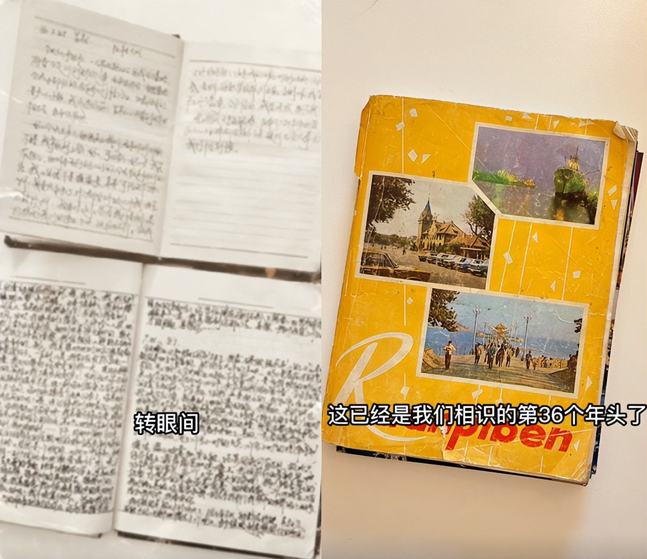 玫瑰|金龟子晒照为老公庆生！互叫爱称表白好甜蜜，王宁捧玫瑰亲吻女方