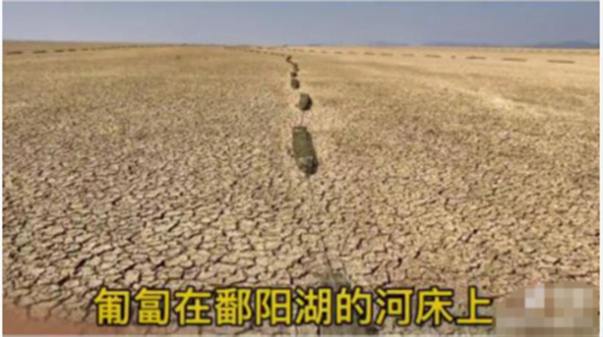 官方回应鄱阳湖现巨型“地笼阵”