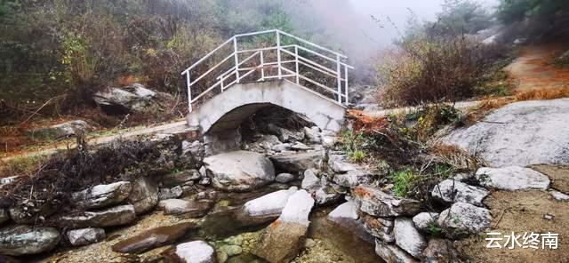 松鼠|为了看云海，爬了个寂寞的山，一路上看到的松鼠比人多