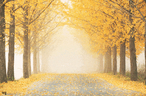 绵竹|创建天府旅游名县|来绵竹这个初秋,有些美好与温暖想与你分享~