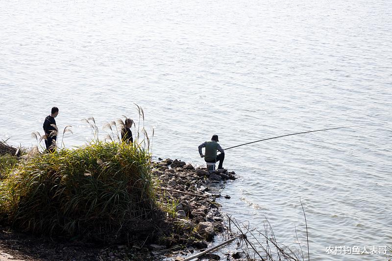 |钓鱼人都说秋季退水鱼难钓，做好这两点以后野钓退水不空军