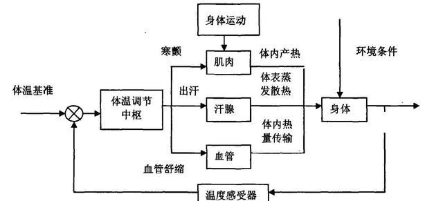 人在高温与极寒两种环境下，哪一种会更快死亡？来看看真实的数据