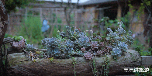 古镇|时隔一年,重看“李子柒”的庭院,才发现,那里仍是“世外桃源”