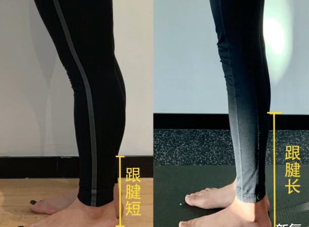 bilibili|日本男人最喜欢的女星身材连续4年拿下榜首，网友：姐姐我可以