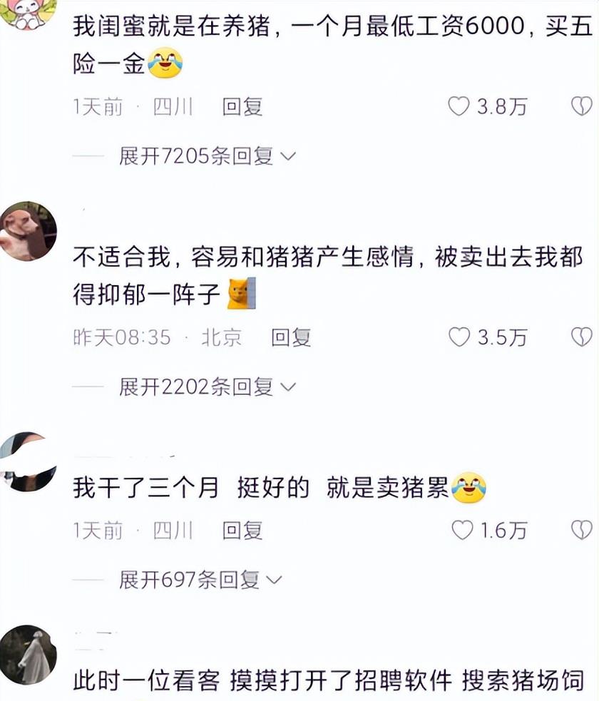 00后|“我找到工作了”，00后社恐女大学生进厂养猪，五险一金底薪4000
