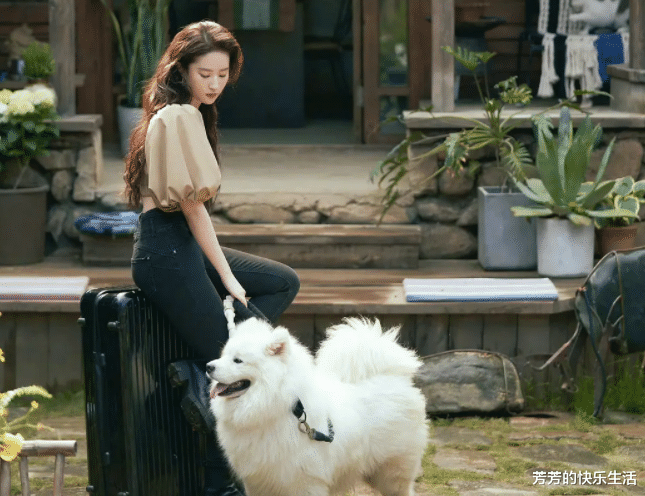 saas|刘亦菲首部现代剧很精彩,展现出了都市白领,最真实的状态