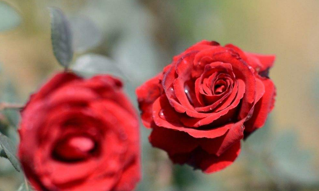 人际关系|不管混得好不好，都别跟这两种人联系了，他们多半面善心黑