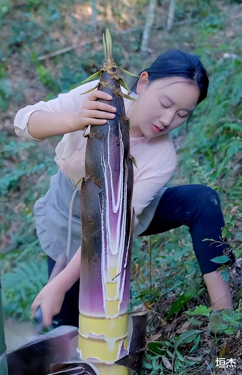 |乡愁沈丹为何那么红?从离异妇女到千万网红,如今身价超1000万